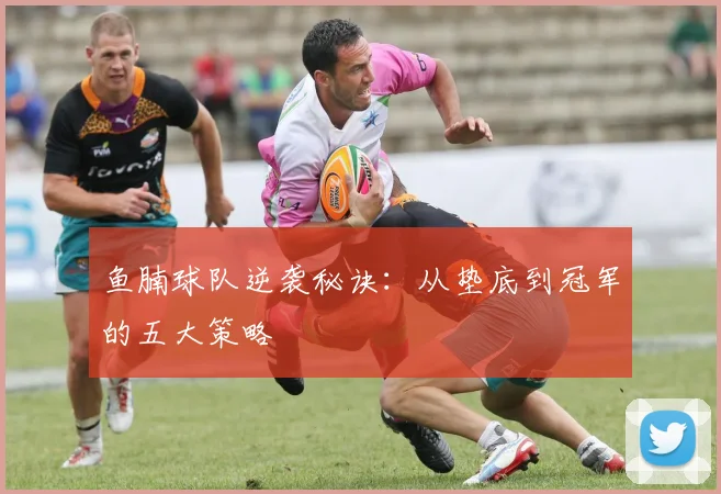 鱼腩球队逆袭秘诀：从垫底到冠军的五大策略